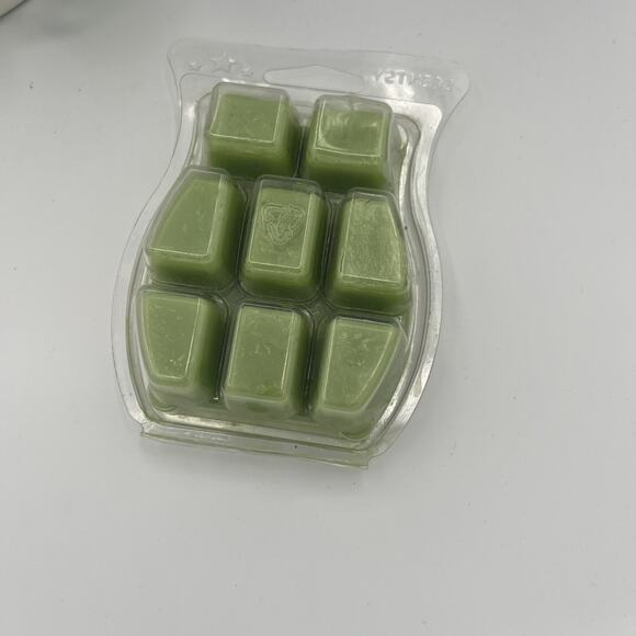 SCENTSY Bar Wild What-a-Melon Wax Warmer Melt 3.2 fl oz 8 Cube Fragrance Pack - Picture 3 of 3